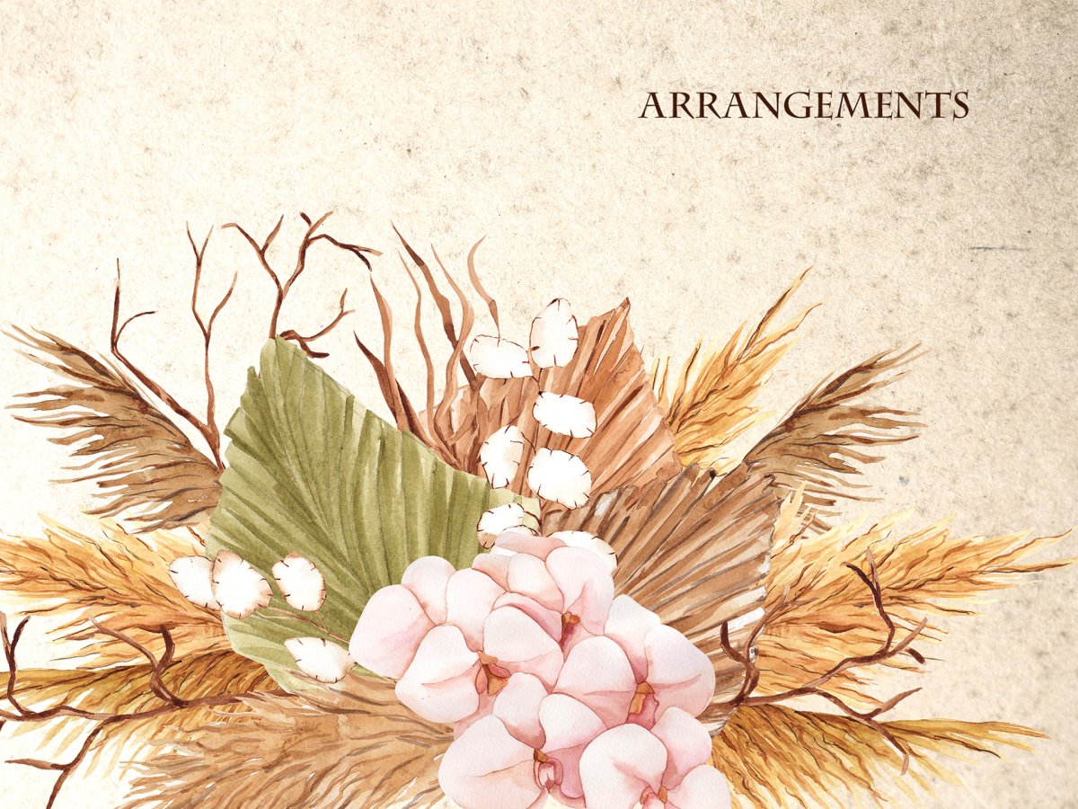 Boho Pampas grass Watercolor