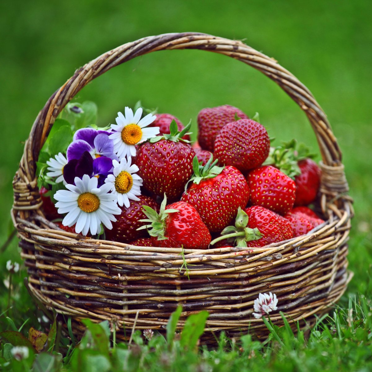 Корзинка с ягодами и цветами