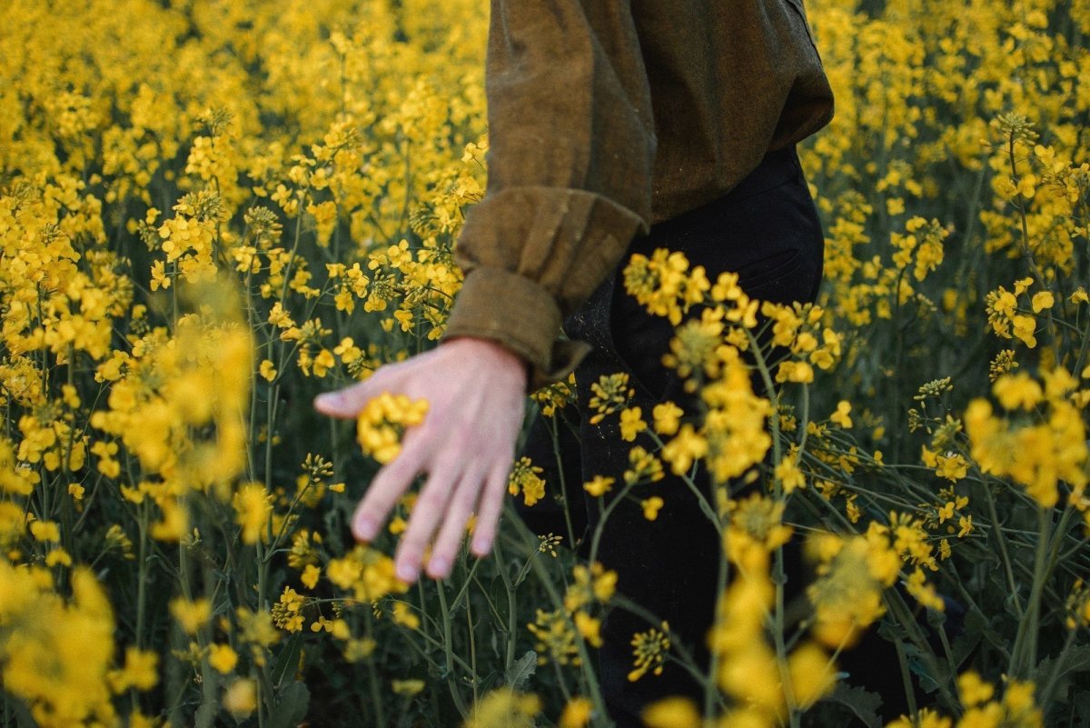 Трава в поле с желтыми цветами