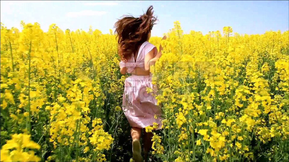 Happiness in field game