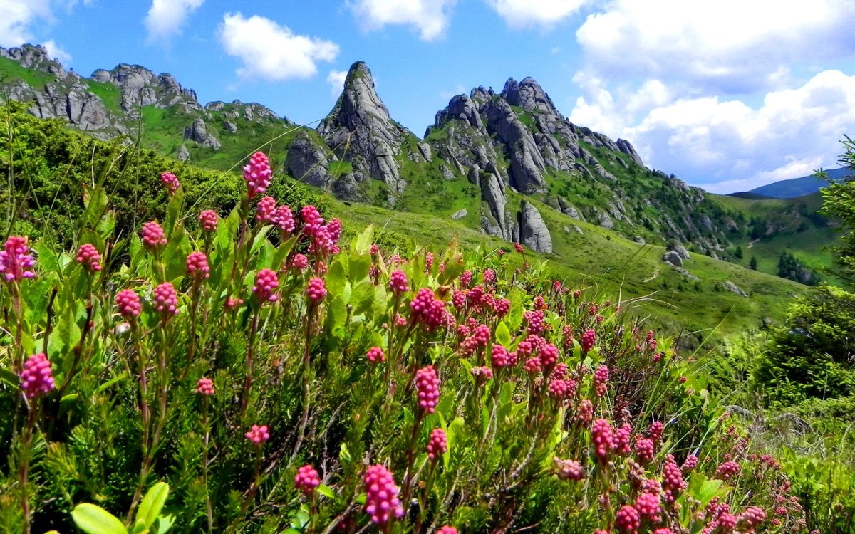 Альпийские Луга в Крыму