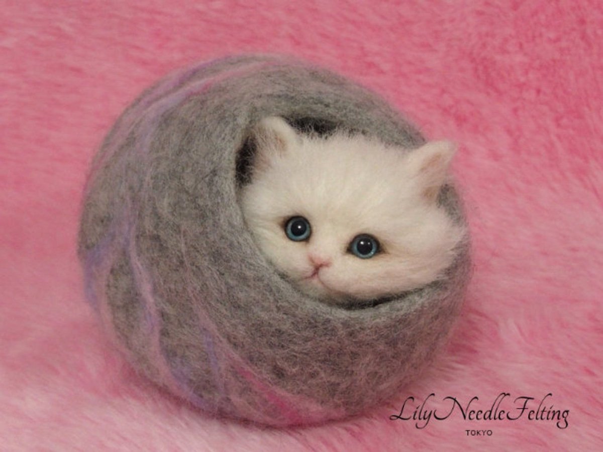 Кот валяный из шерсти