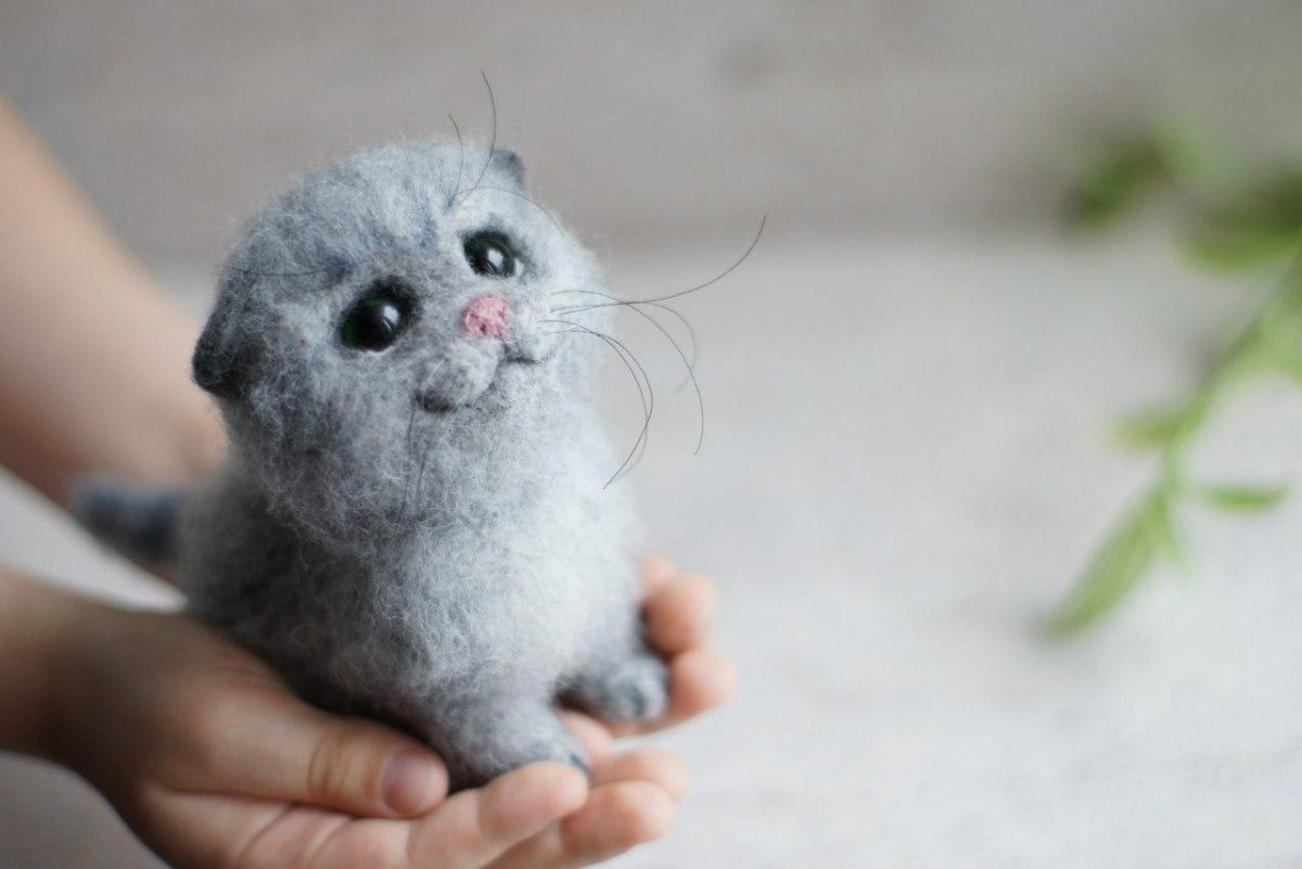 Валяные котики