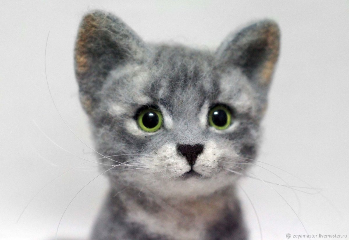 Котенок из Войлока
