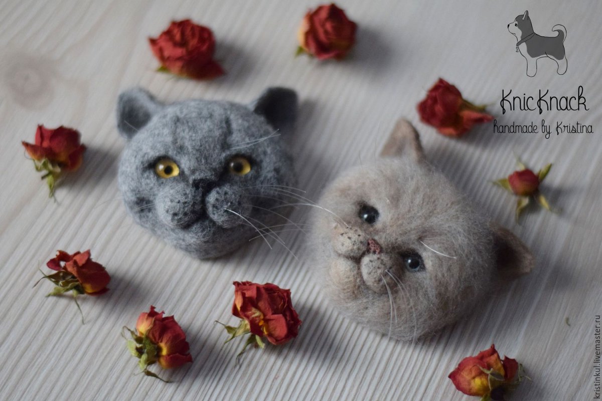 Валяная брошь британский кот