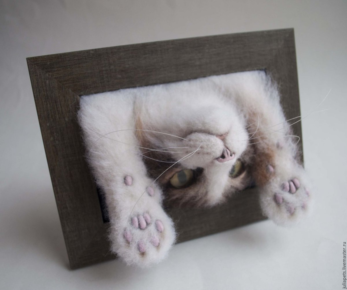 Кот в рамке из шерсти