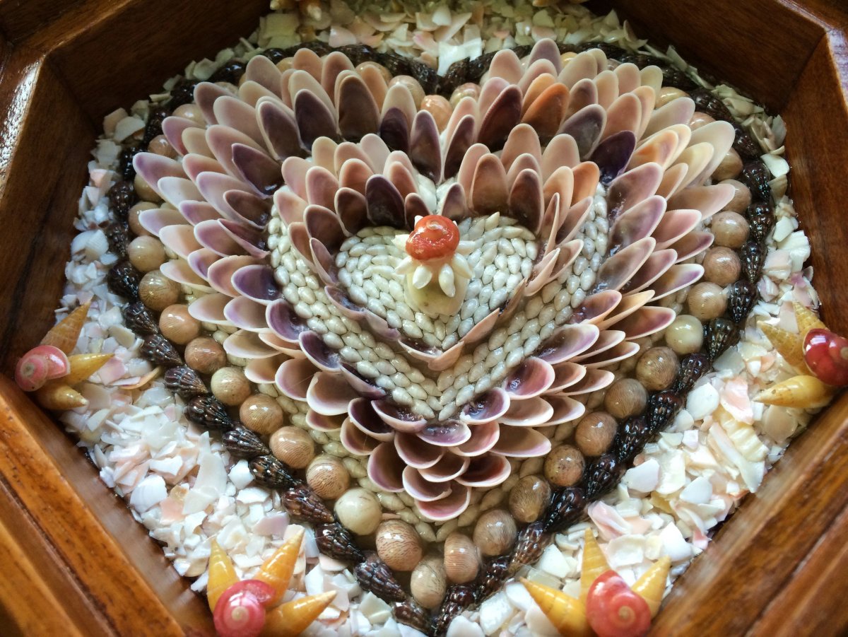 Поделки из улиточных ракушек