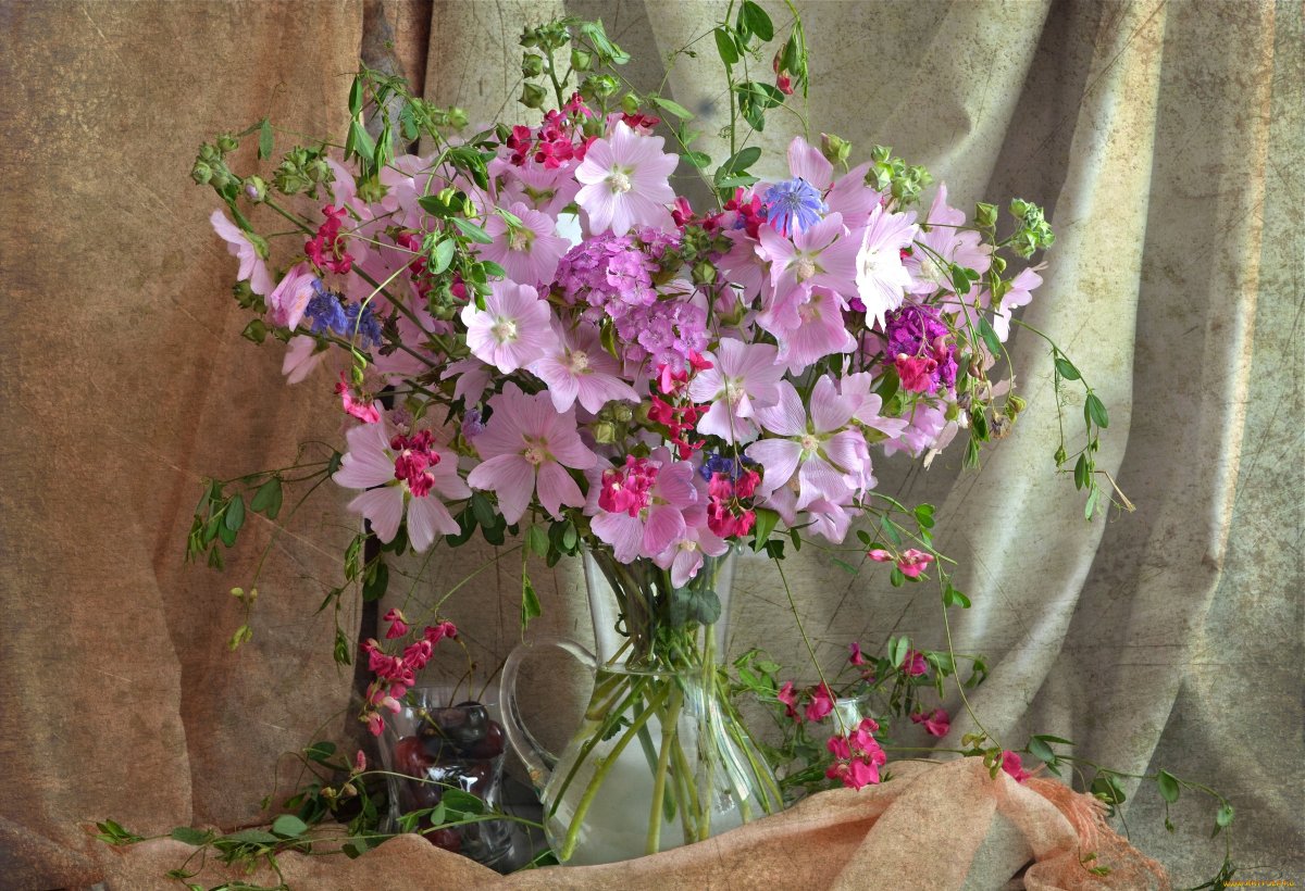 Космея с флоксами