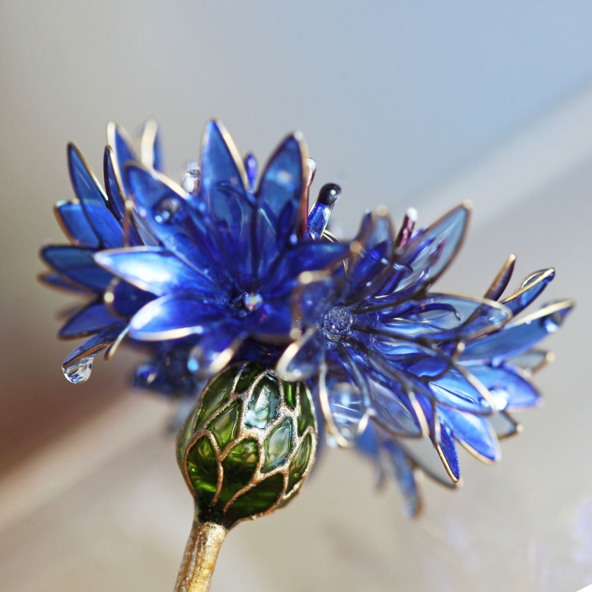 Blue Diadem Василек
