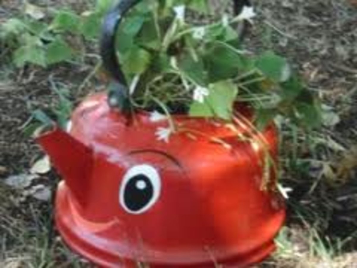 Клумба с чайником