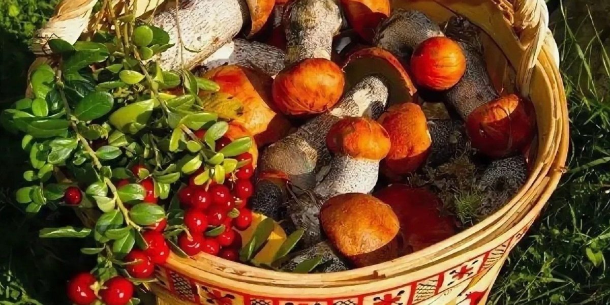 Грибы и ягоды