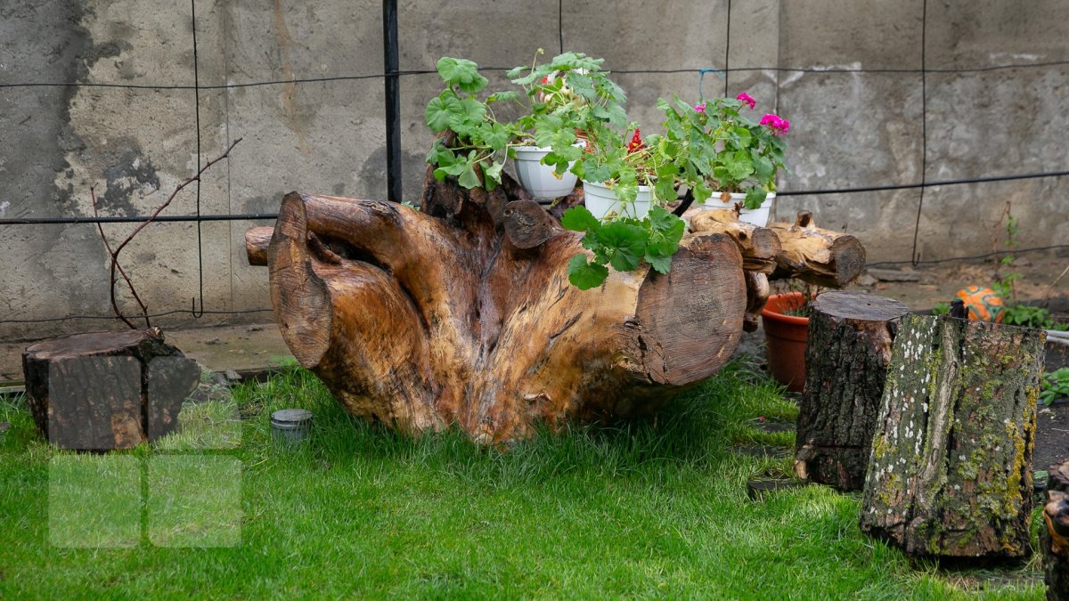 Клумбы из коряг и пней