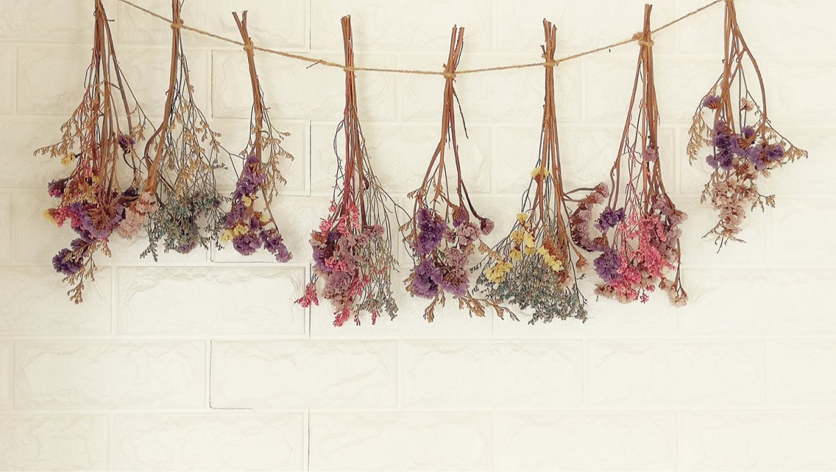 Dried Flowers сухоцветы
