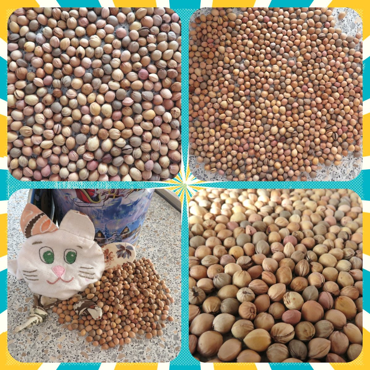 Поделки из косточек вишни