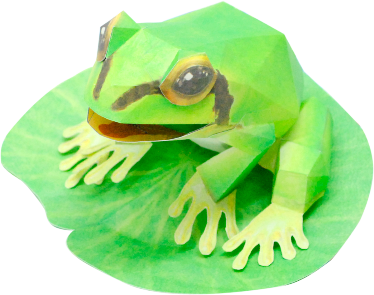 Поделка лягушка