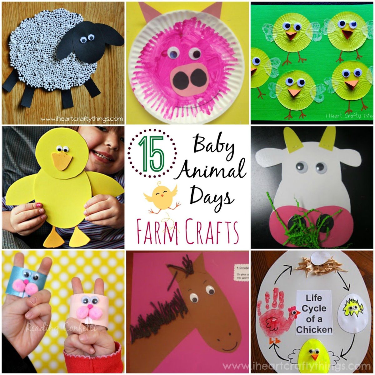 Animals Craft for Kids