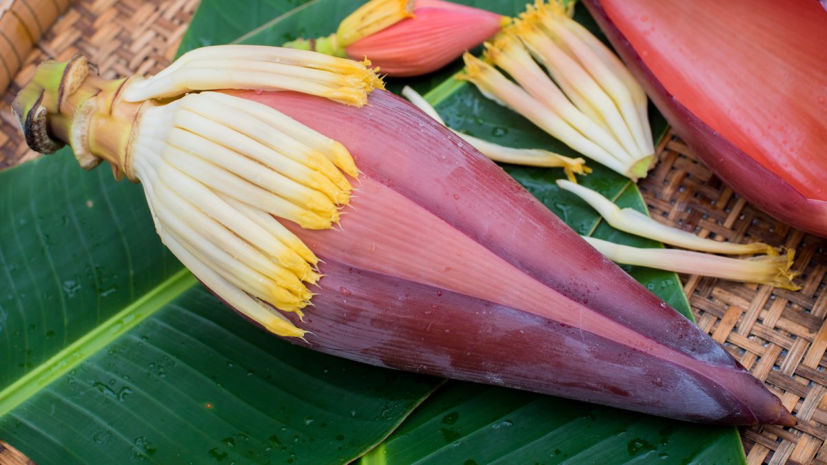 Банановые цветы