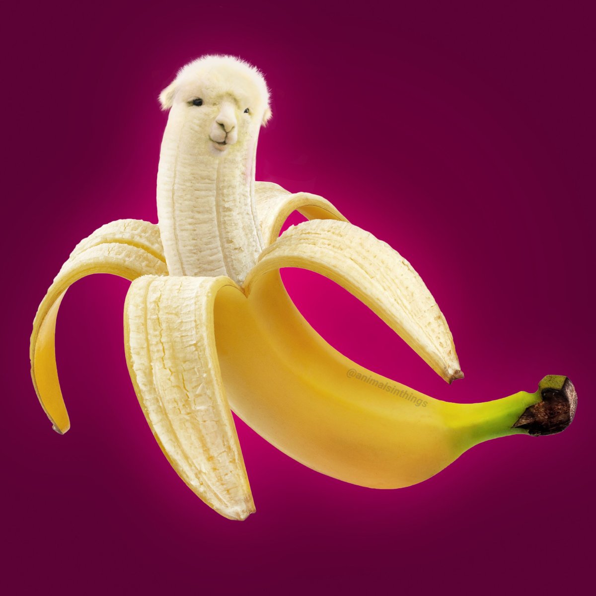 Банан 🍌 глубокая глодка