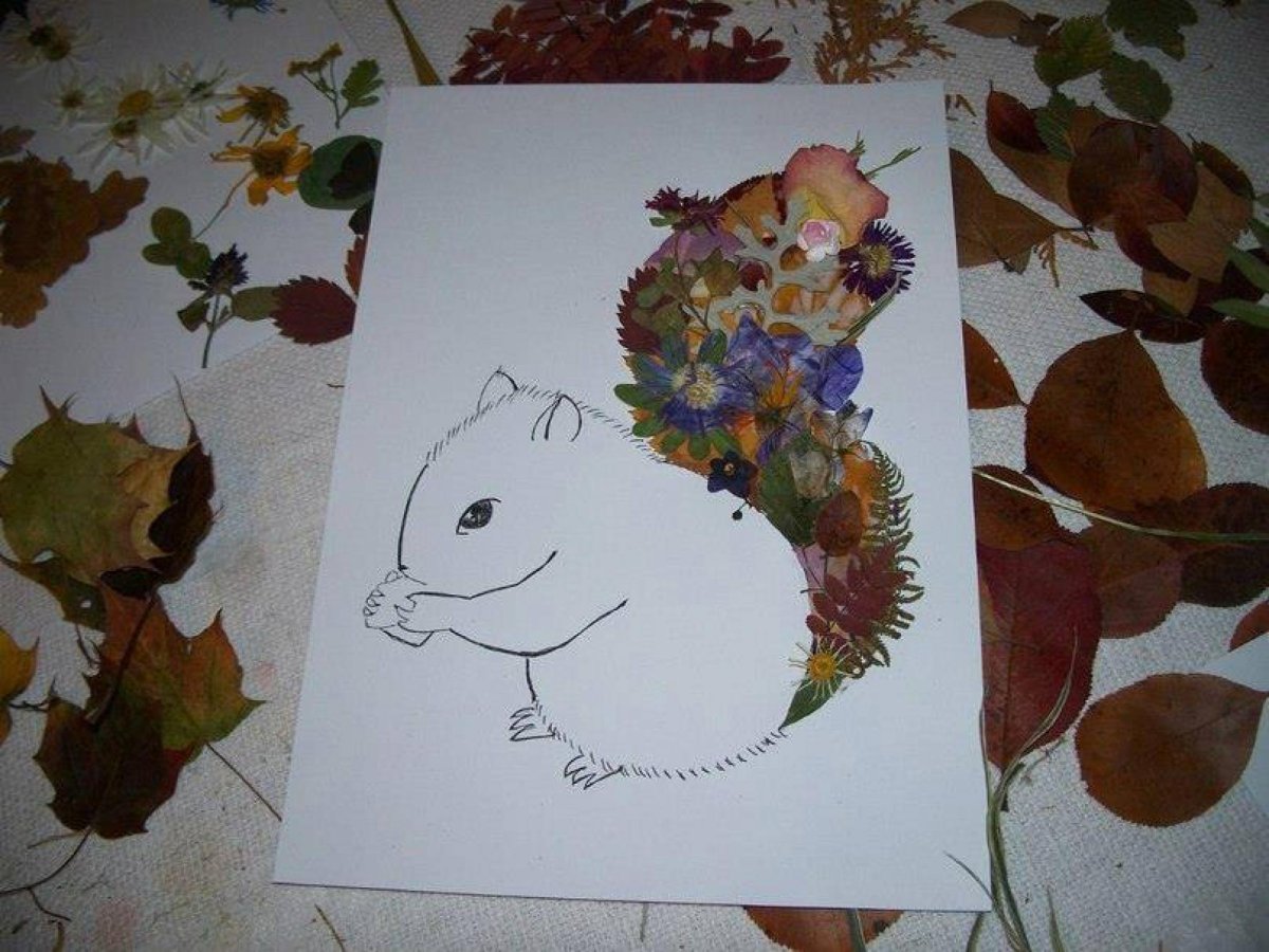 Поделки из гербария