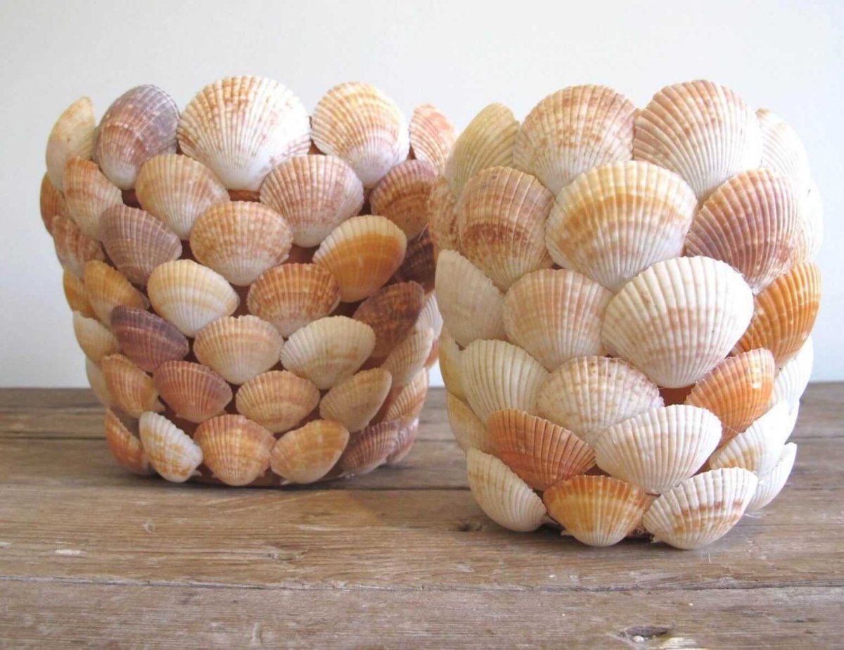 Поделки из ракушек