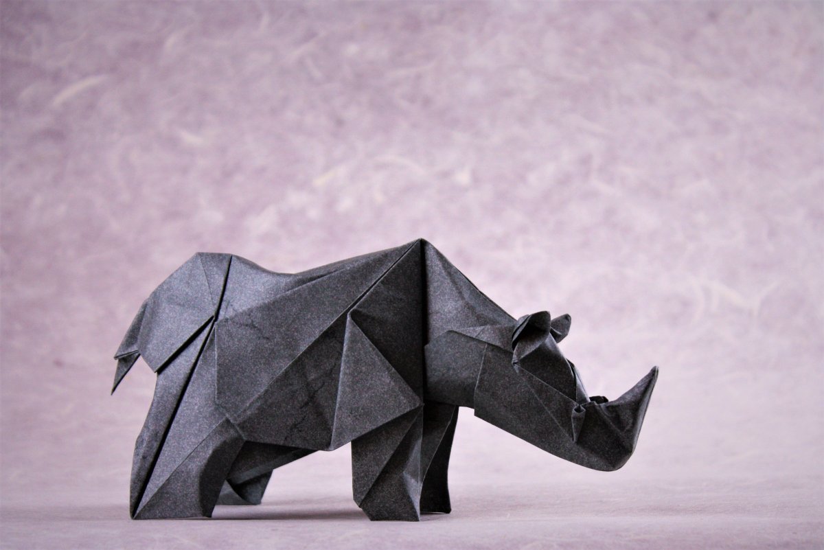 Roman Diaz Origami
