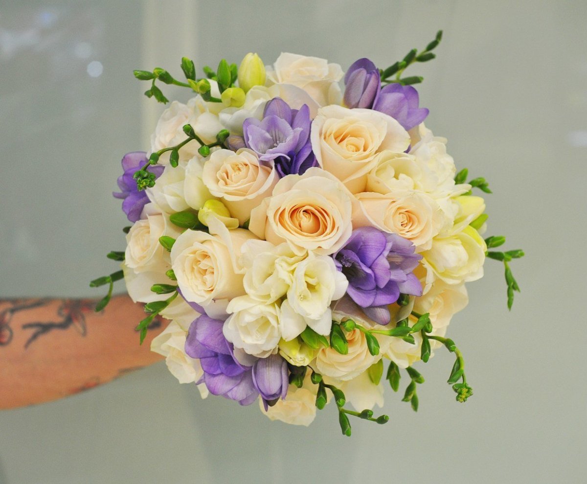 Freesia фрезия роза