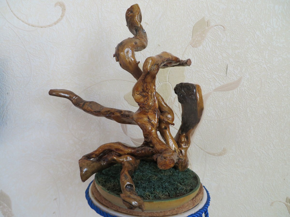 Поделки из корней вишни