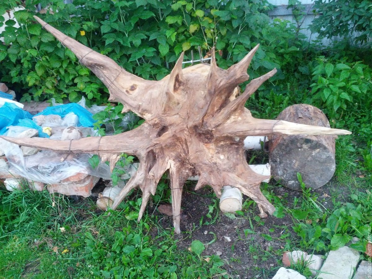 Корни деревьев поделки