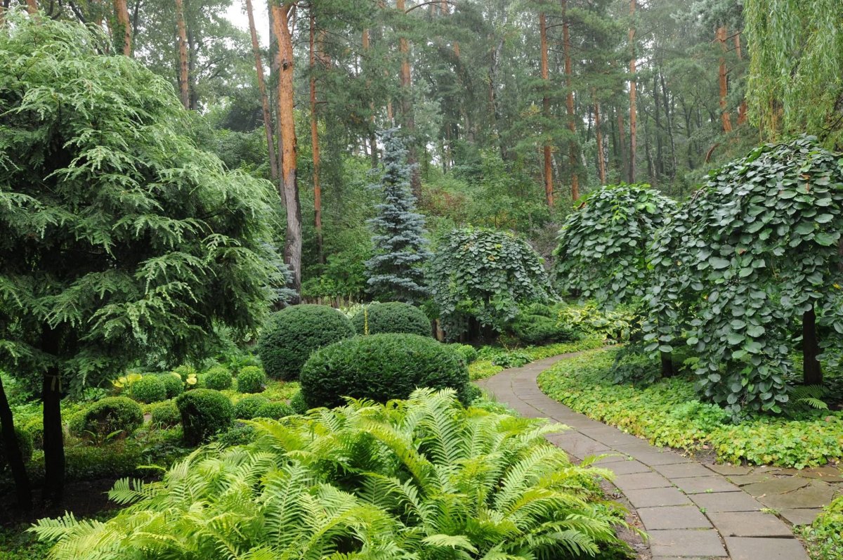 Владимир Колесник ландшафтный дизайнер