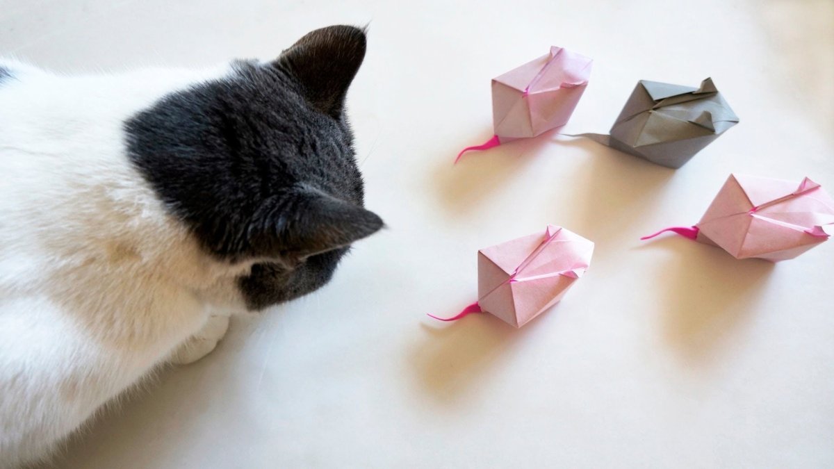 Игрушки бумажные кошки