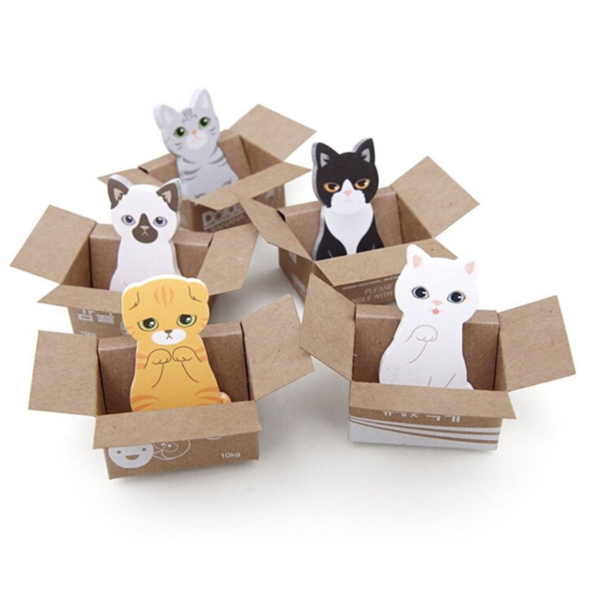 Поделки из бумаги котики в коробочке