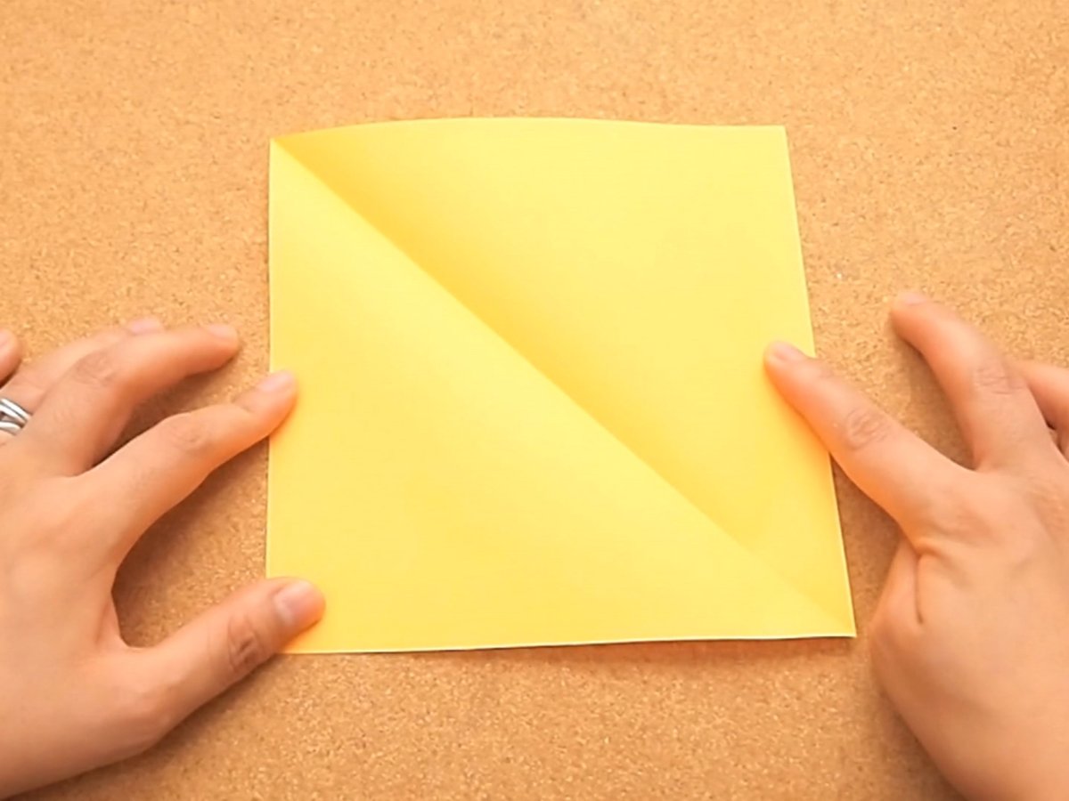 Origami a Sheet of paper
