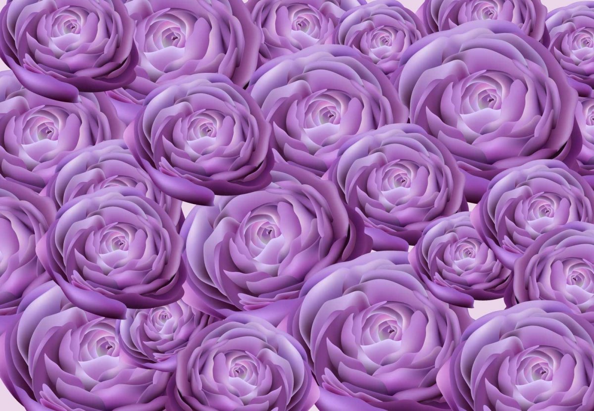 Розово фиолетовые цветы