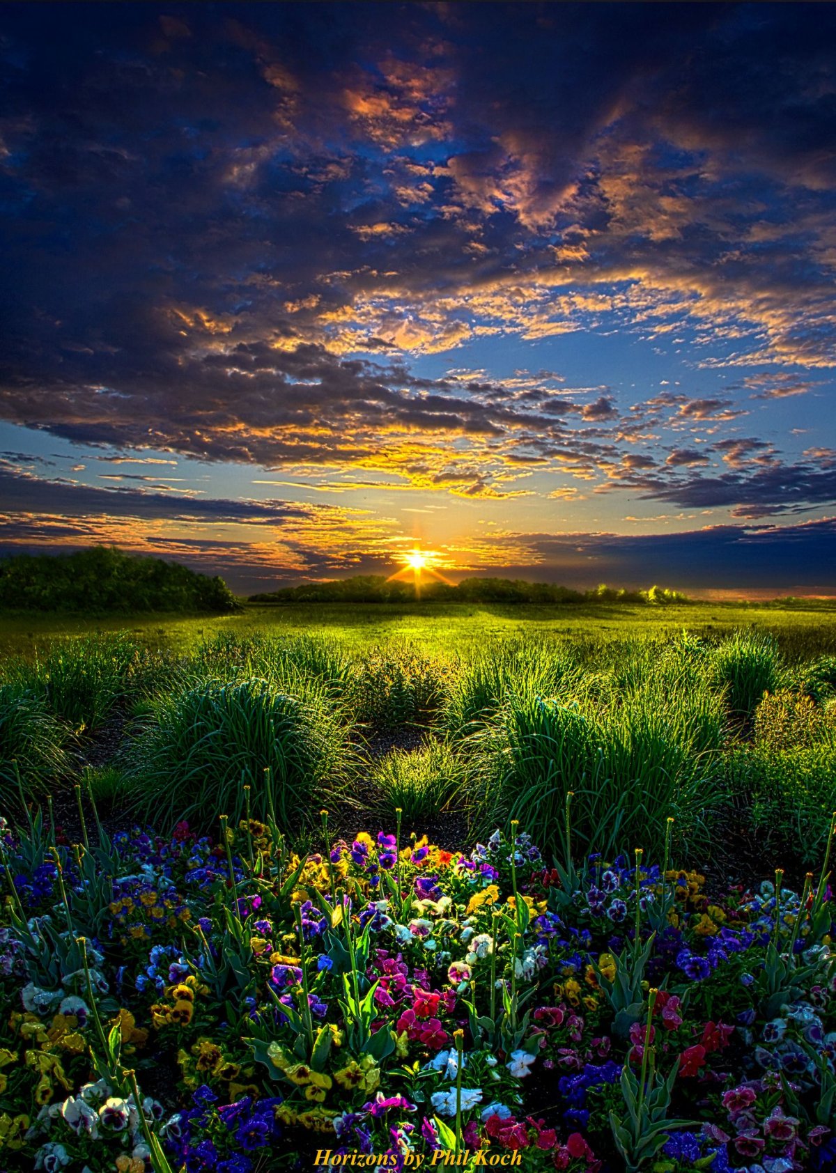 Красивая природа
