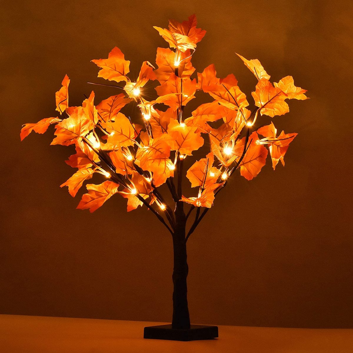 Maple Lights