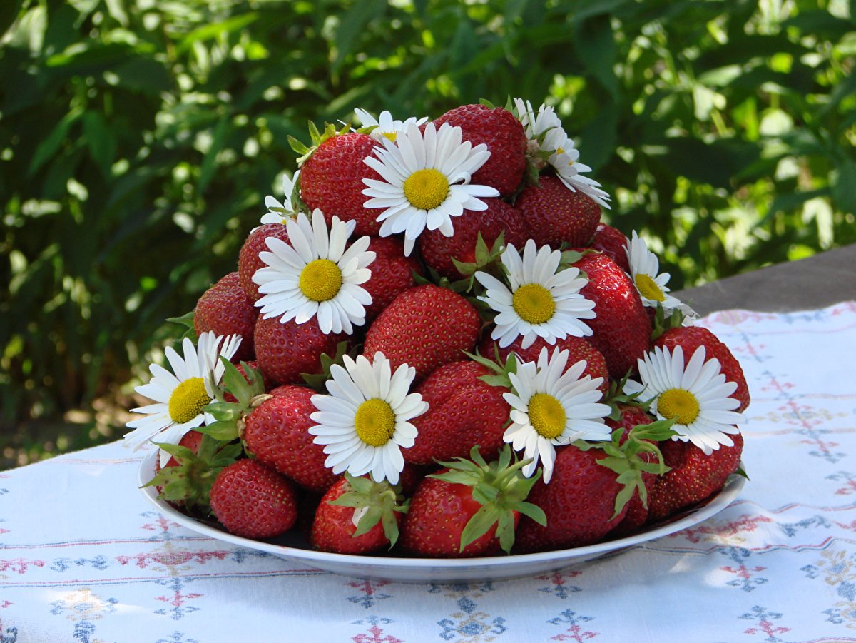 Ромашки и ягоды