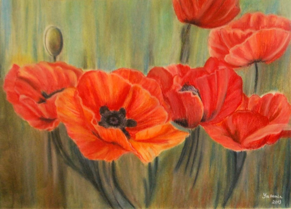 Пионы Marianne Broome
