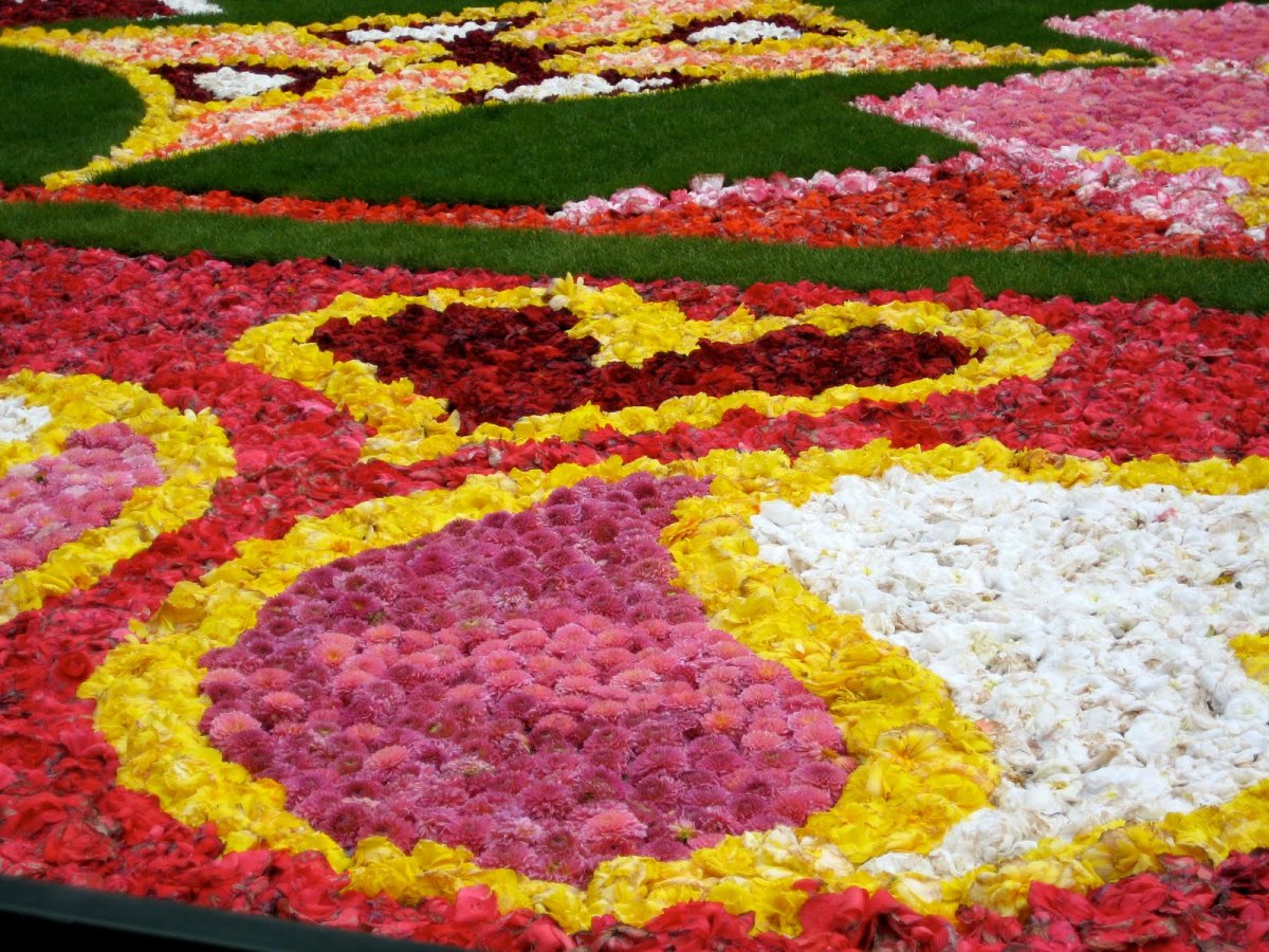 Фестиваль "цветочный ковер" (Flower Carpet), Брюссель, Бельгия.