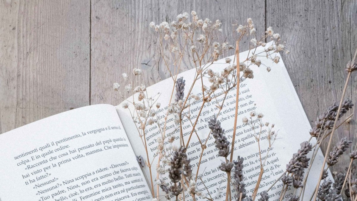 Сушеные цветы в книге