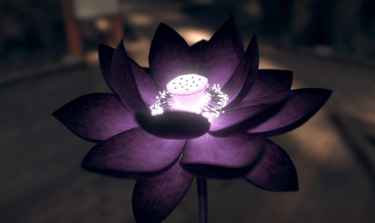 Black Lotus (черный Лотос)