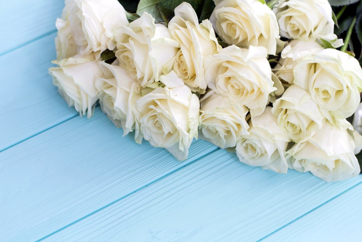 Длинные белые розы букет
