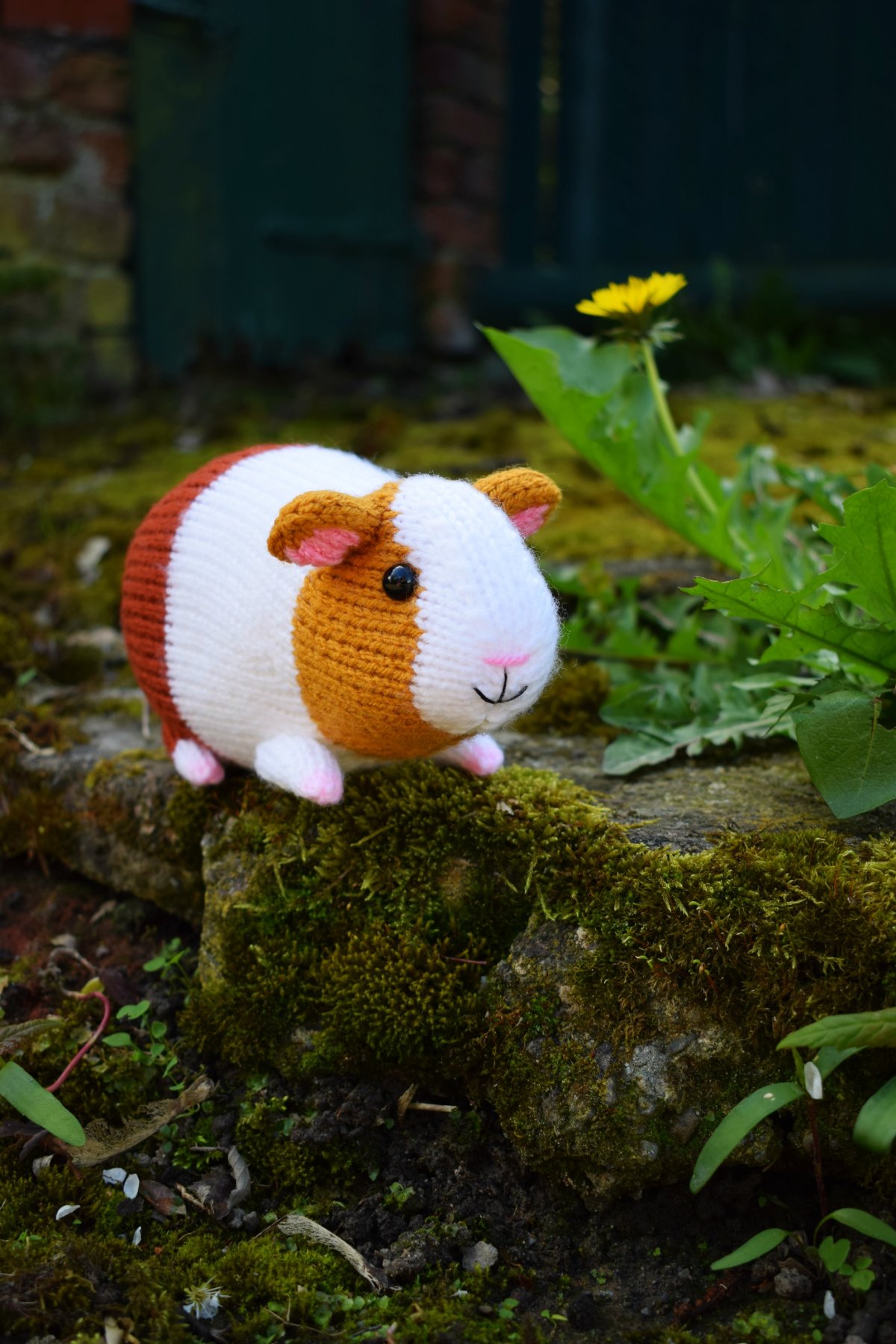Амигуруми игрушки морские свинки