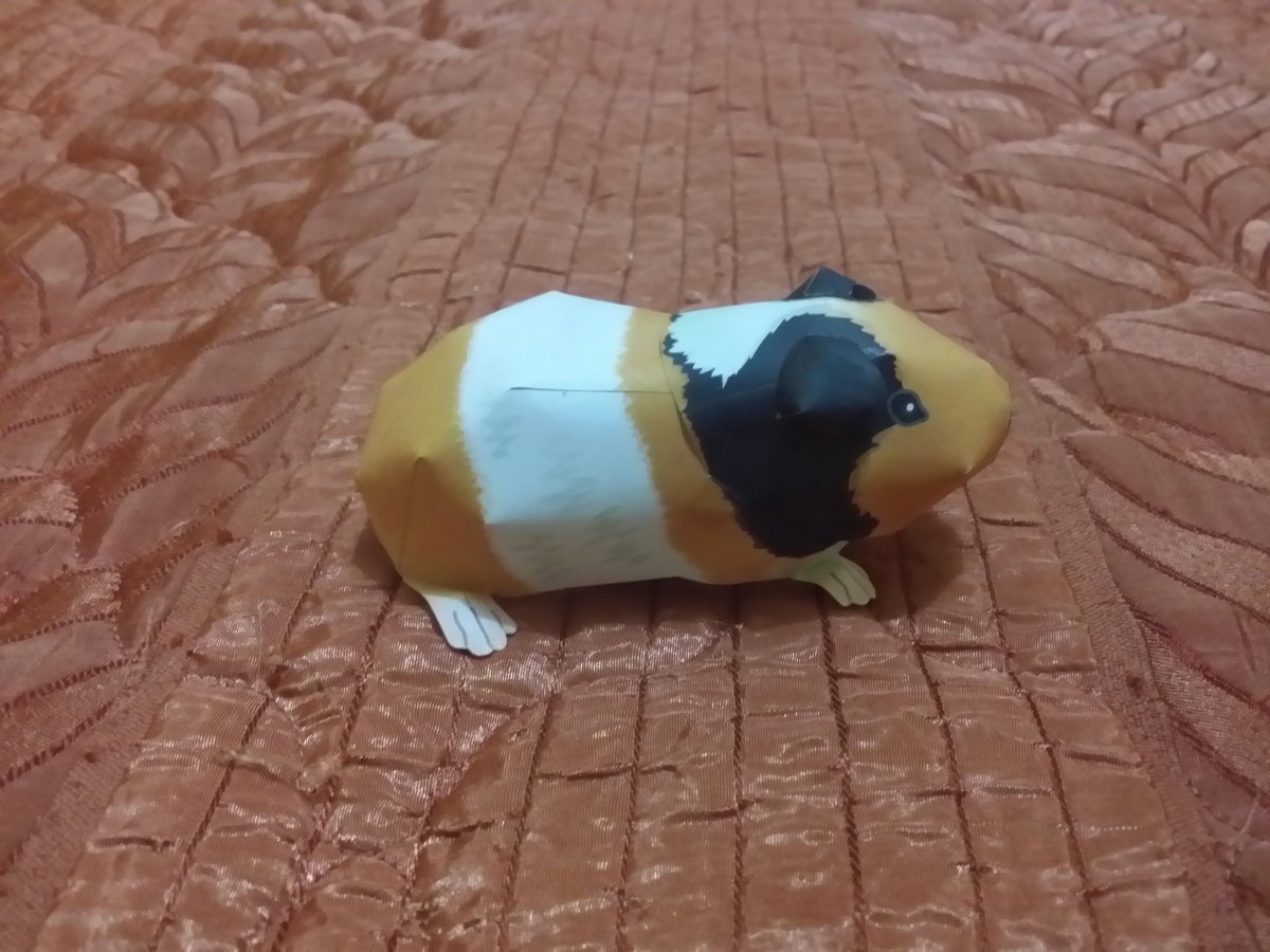 Фигурки из пластилина морские свинки
