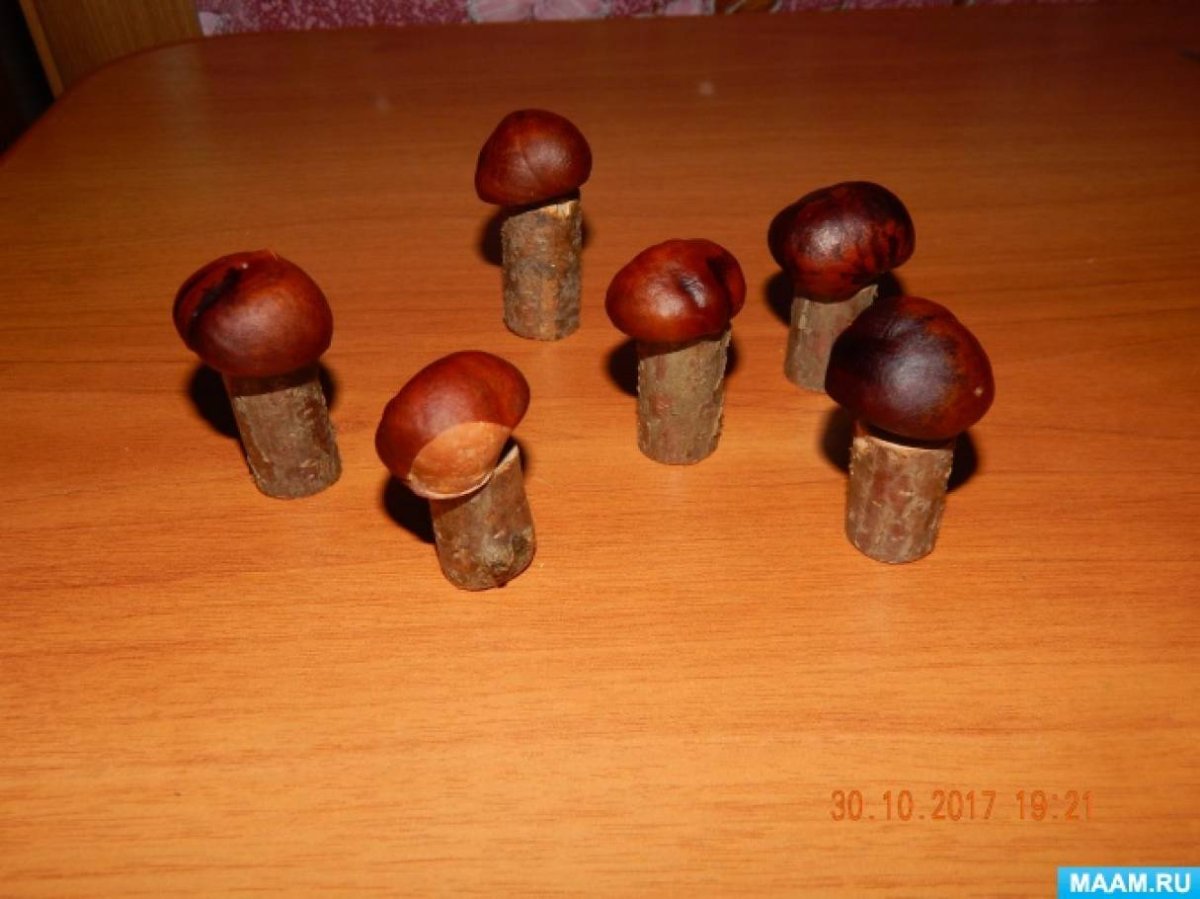 Гриб из каштана
