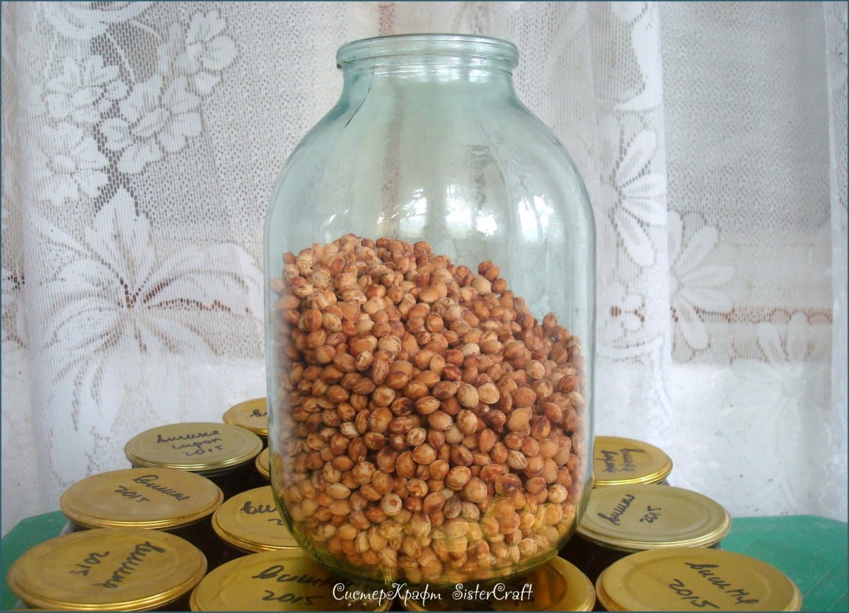 Поделки из косточек вишни