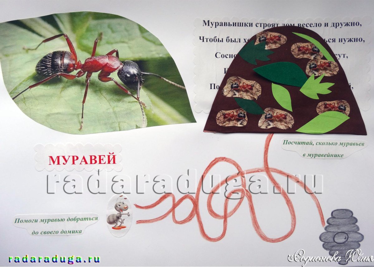 Книжка своими руками про муравьишку