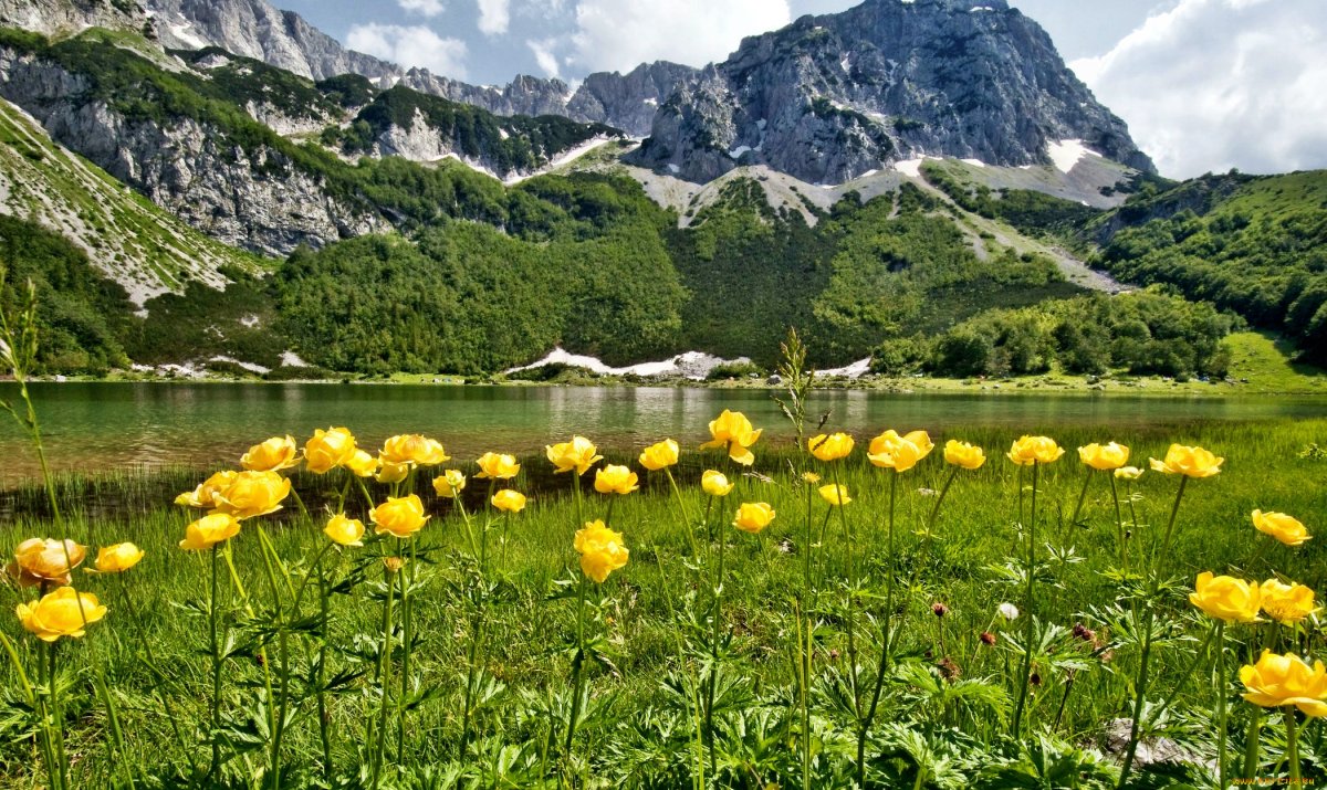 Альпийские Луга Альпы