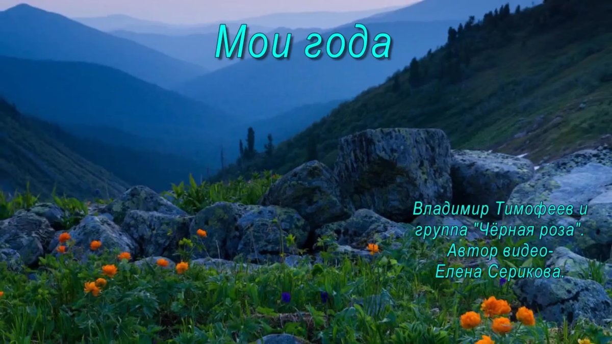 Жарки цветут горы Ергаки озеро