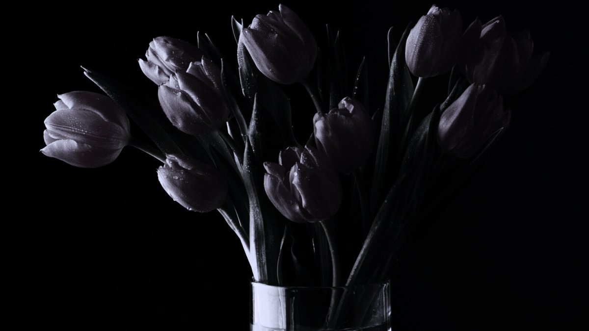 Букет черных тюльпанов