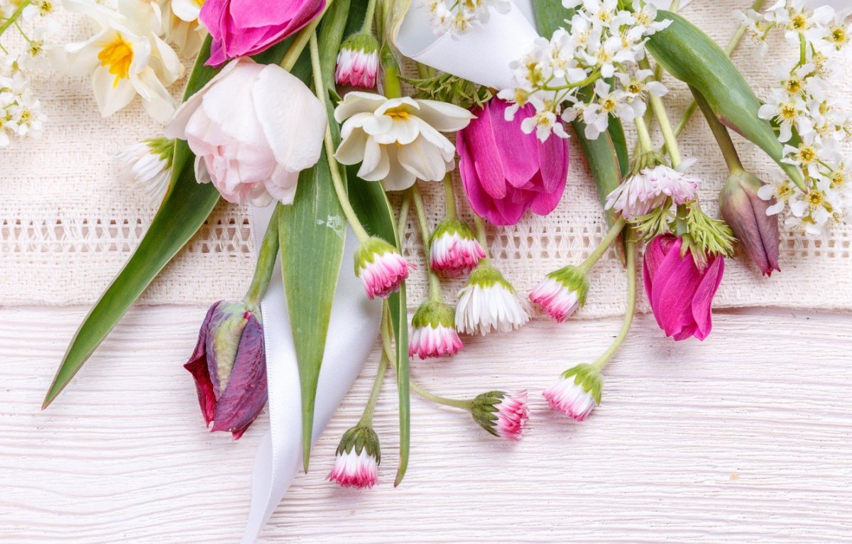 Фловерс Flowers цветы тюльпаны